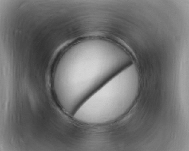 X0000114210979200910091025