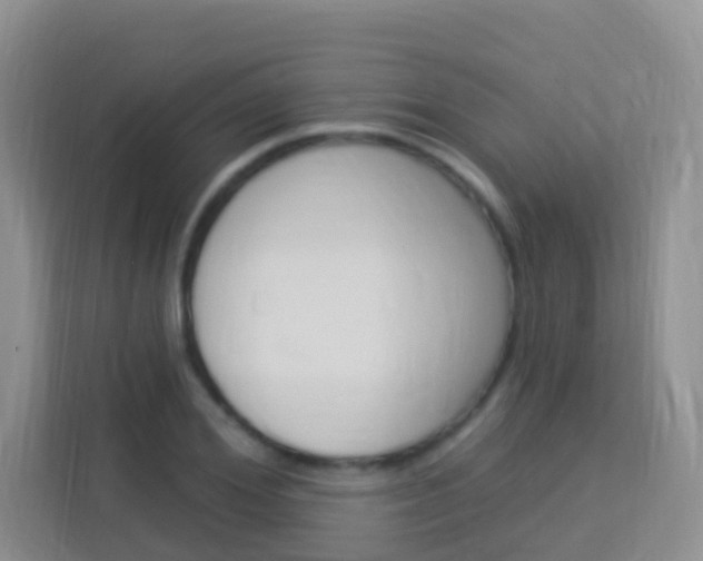 X0000114210980200910091025