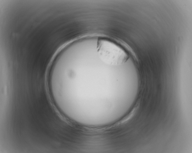 X0000114210981200910091025