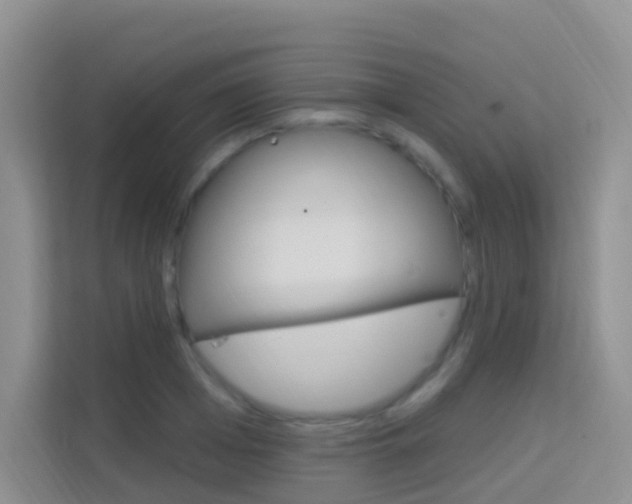 X0000114210985200910091025