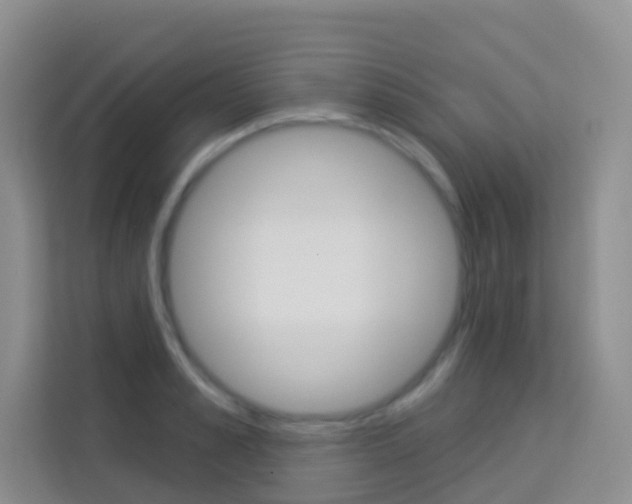 X0000114210989200910091025