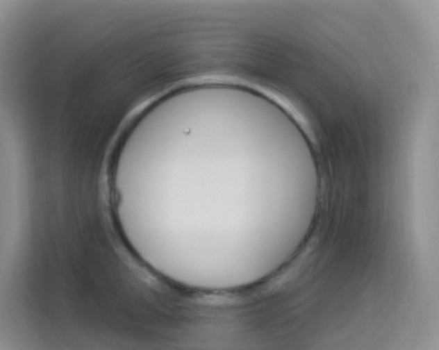 X0000114210998200910091025