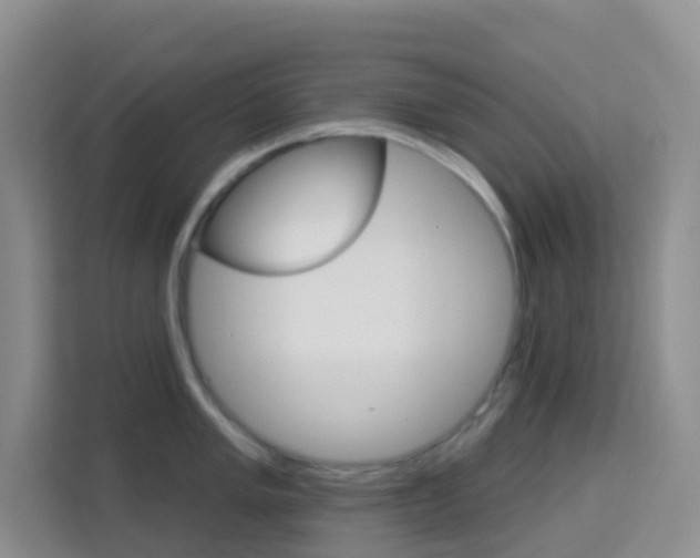 X0000114211005200910091025