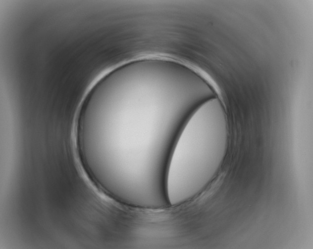 X0000114211007200910091025
