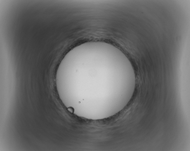 X0000114211009200910091024