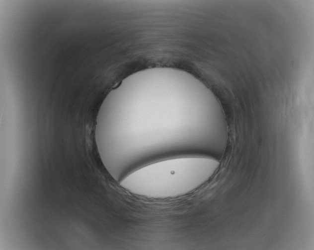 X0000114211010200910091024