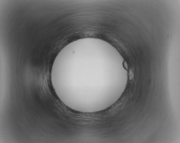 X0000114211011200910091024