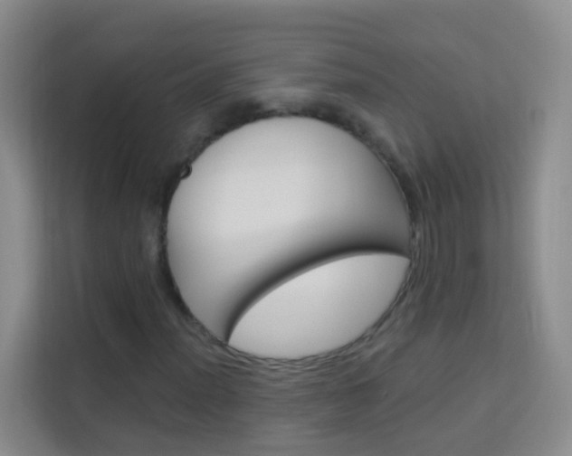 X0000114211012200910091024