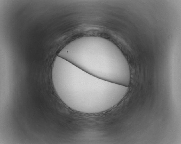 X0000114211013200910091024