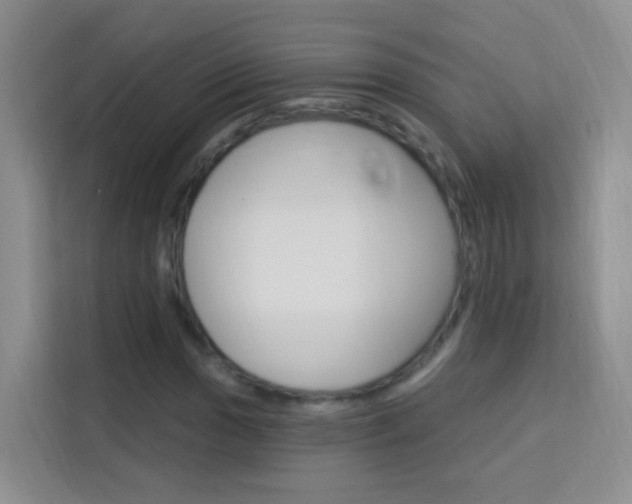 X0000114211017200910091024