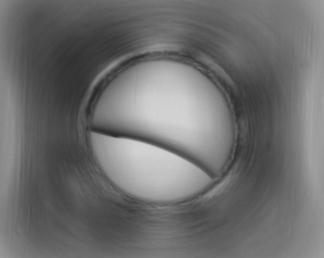 X0000114211021200910091024