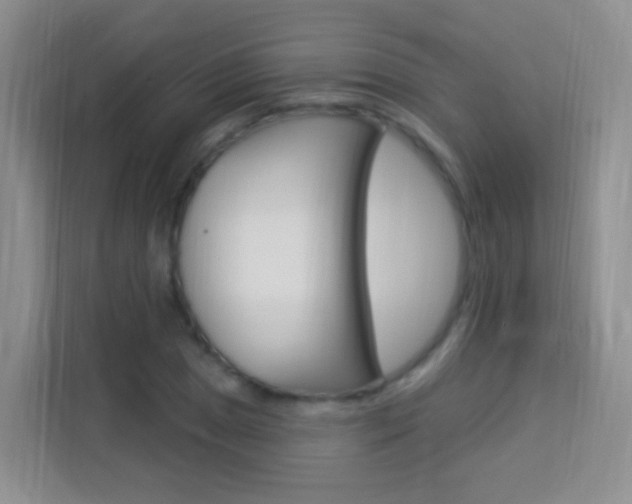 X0000114211025200910091024
