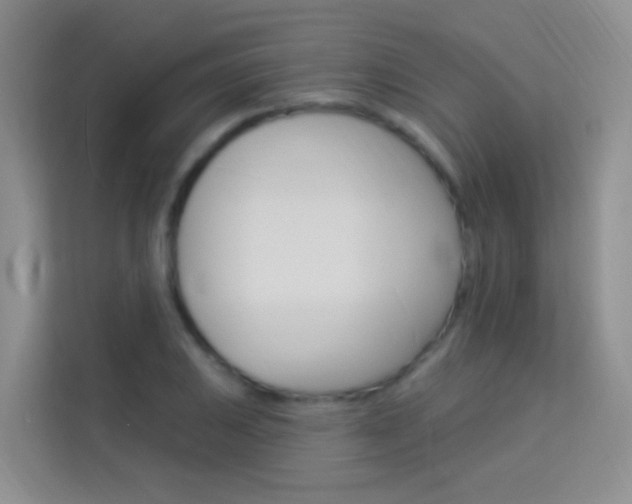 X0000114211031200910091024