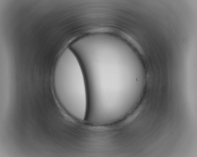 X0000114211033200910091024