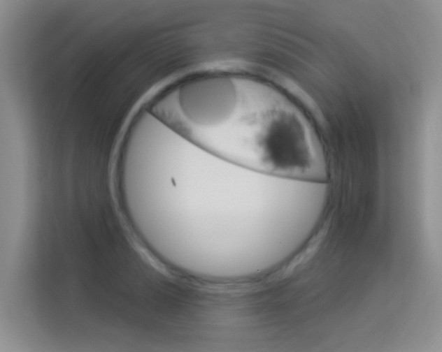 X0000114211037200910091025