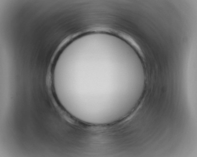 X0000114211040200910091025