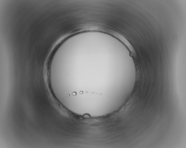 X0000114211051200910091025