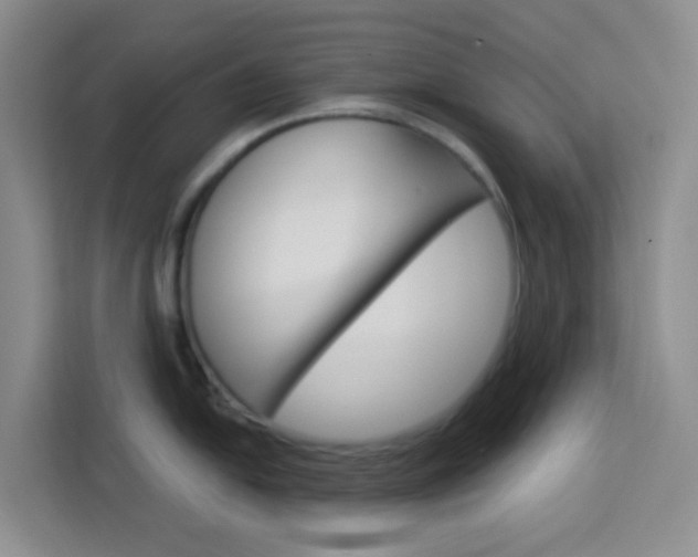 X0000114211054200910091025