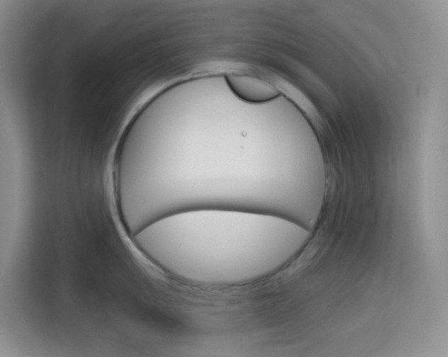 X0000114211055200910091025