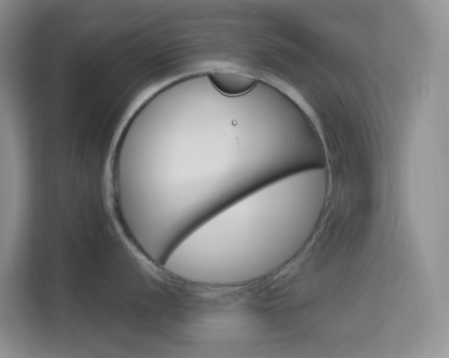 X0000114211056200910091025