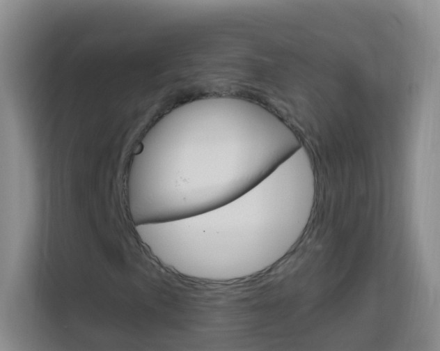 X0000114211057200910091024