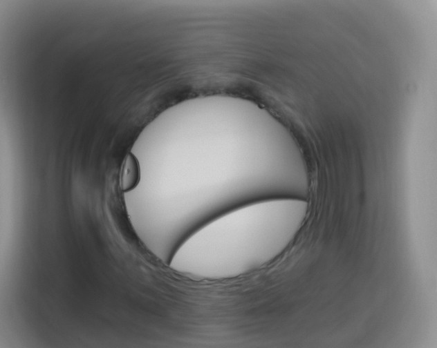 X0000114211059200910091024