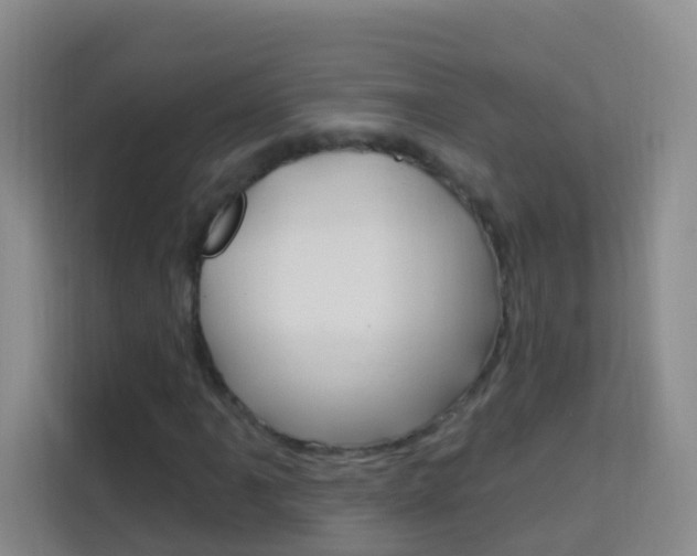 X0000114211061200910091024