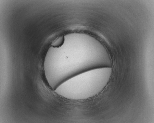 X0000114211063200910091024