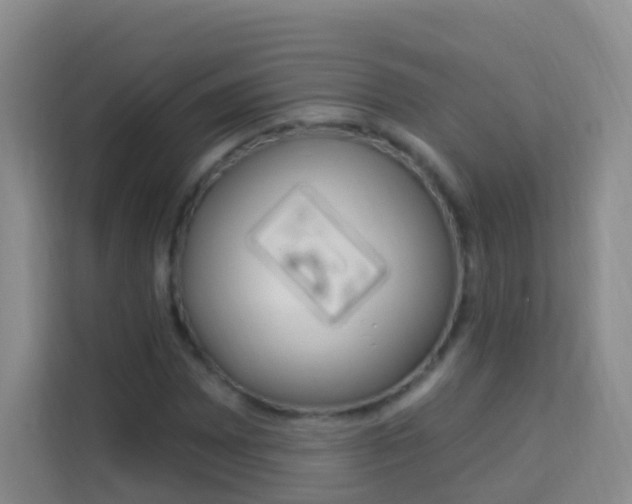 X0000114211065200910091024