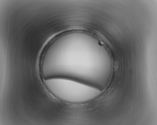 X0000114211068200910091024