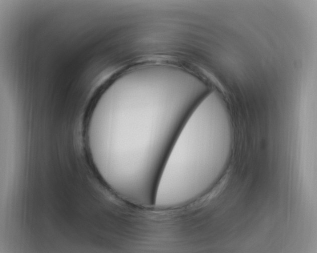 X0000114211071200910091024