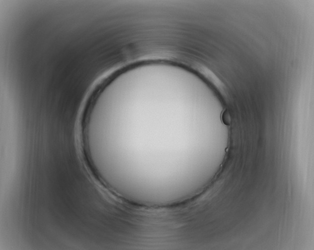 X0000114211072200910091024