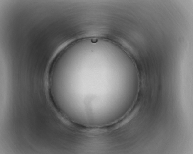X0000114211077200910091024