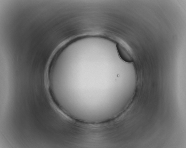 X0000114211080200910091024
