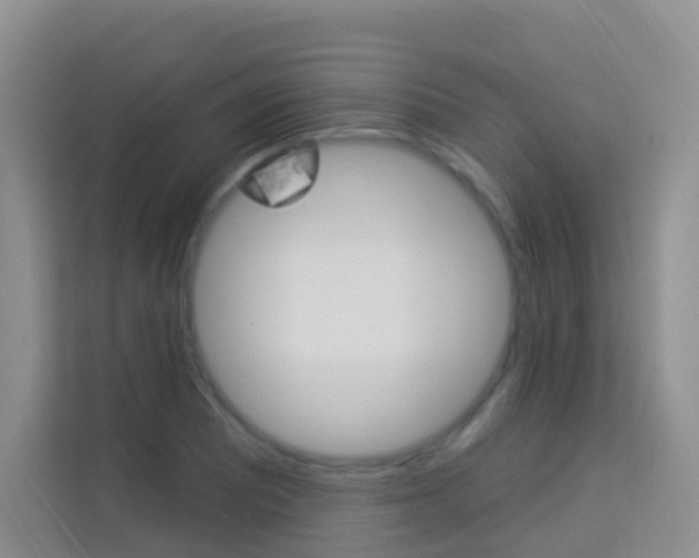 X0000114211081200910091024