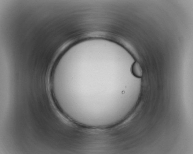 X0000114211082200910091024