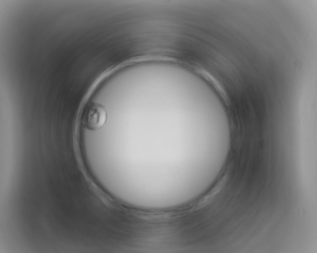 X0000114211085200910091024