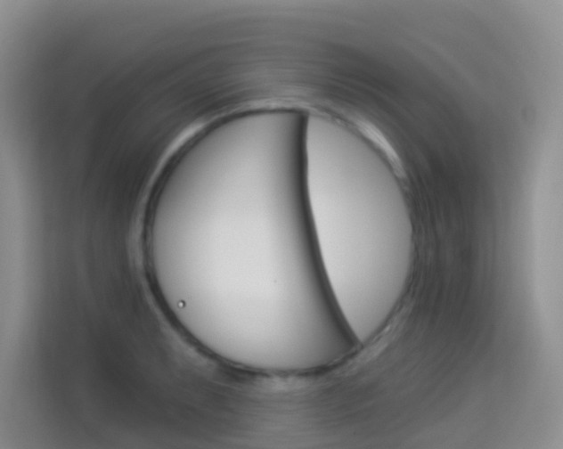 X0000114211087200910091024