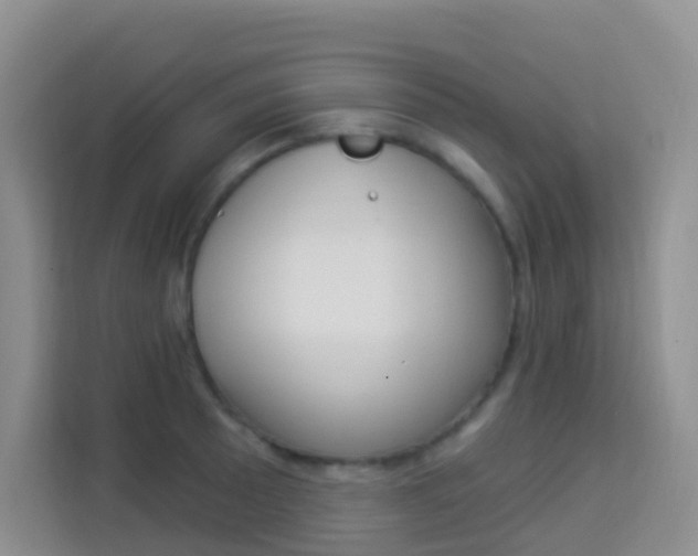 X0000114211089200910091024