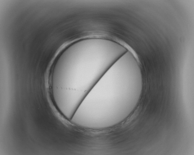 X0000114211099200910091024