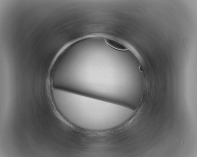 X0000114211100200910091024