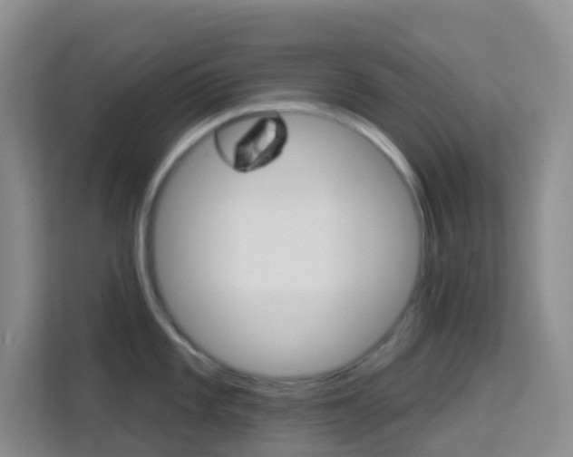 X0000114211101200910091024