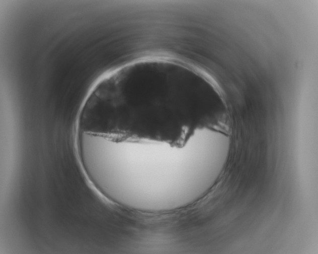 X0000114211103200910091024