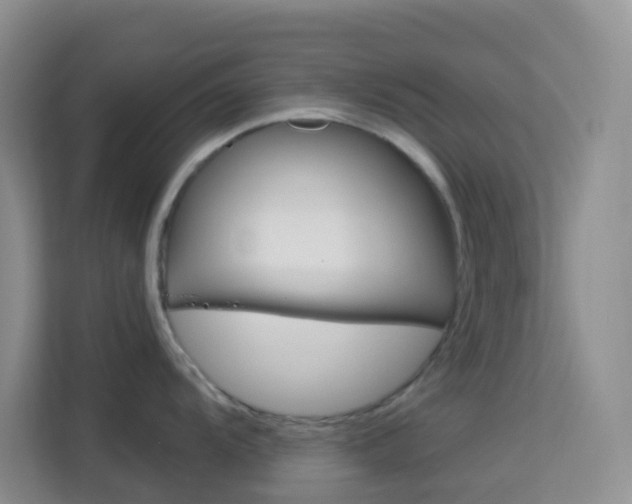 X0000114211104200910091024
