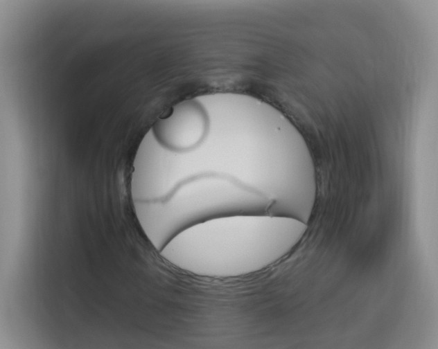 X0000114211106200910091023