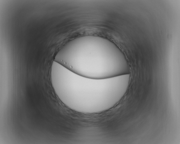 X0000114211109200910091023