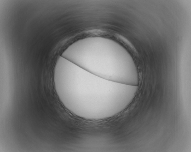 X0000114211111200910091023