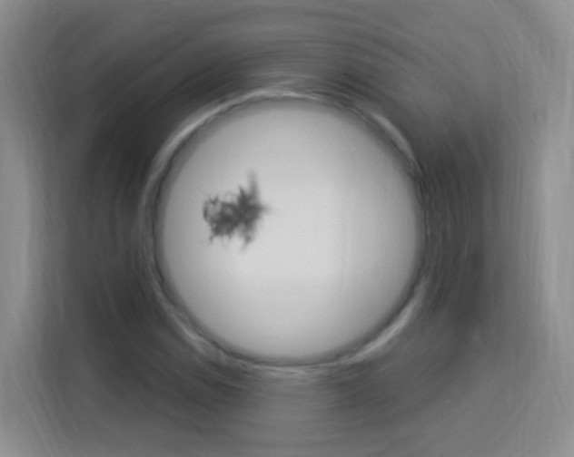 X0000114211114200910091023