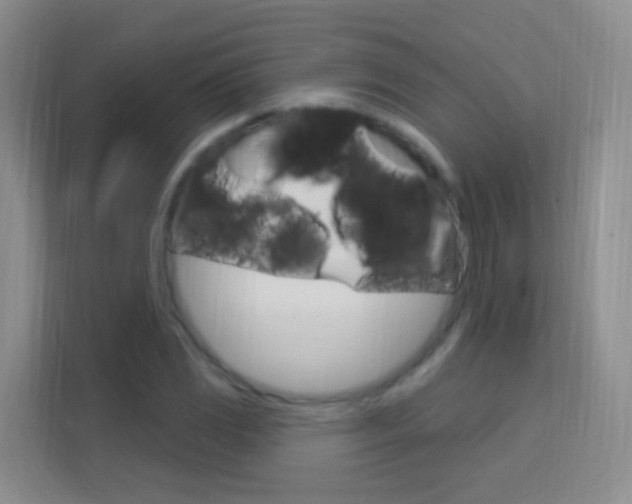 X0000114211117200910091023