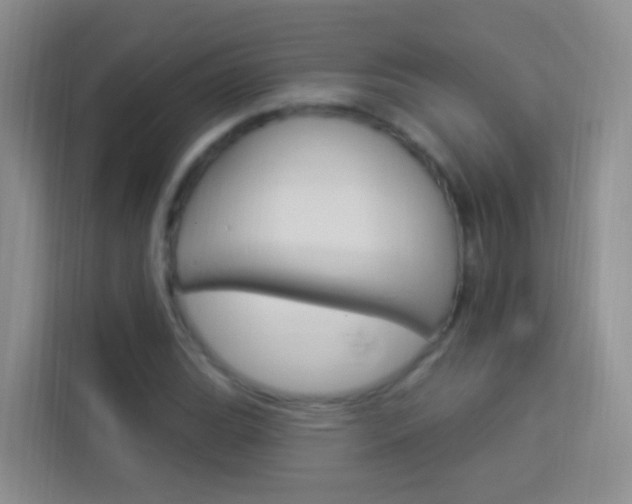 X0000114211119200910091023